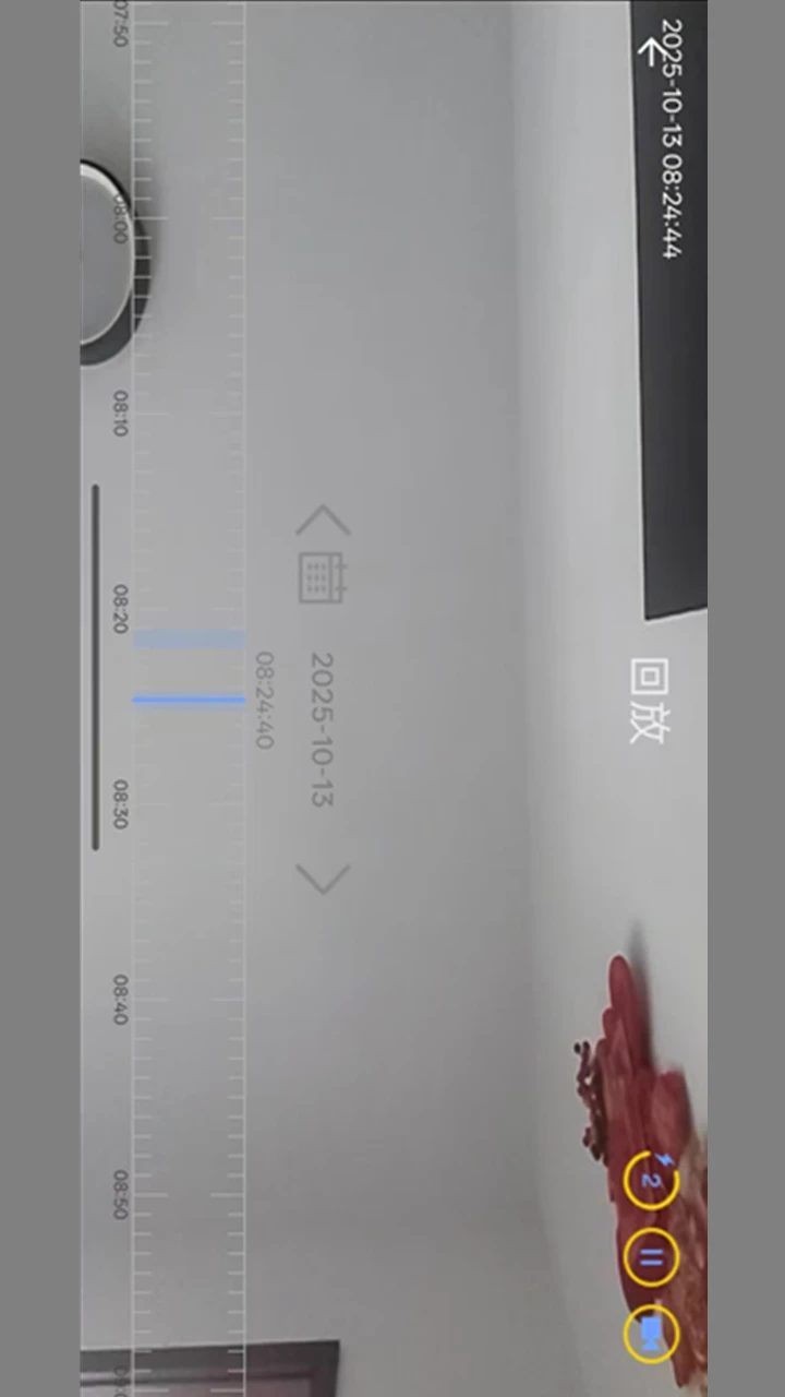 小眸随行