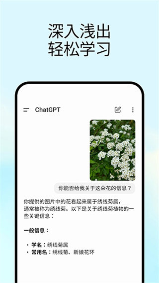chatgpt4.0官方正版