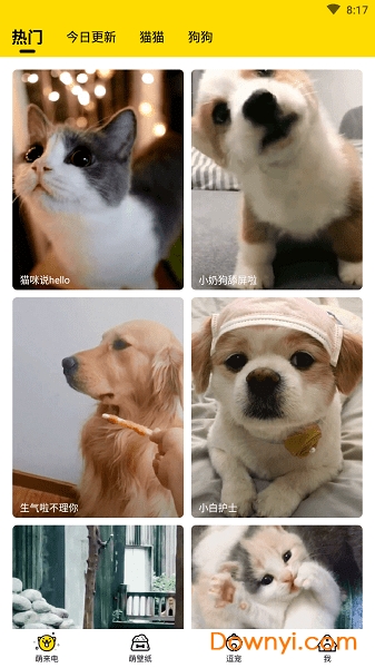 宠物邦