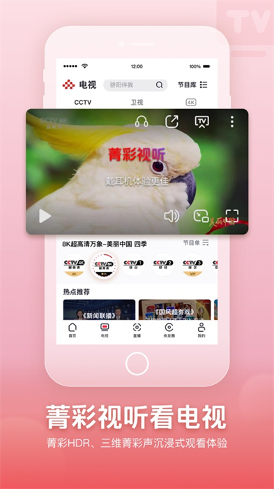 央视频ios版