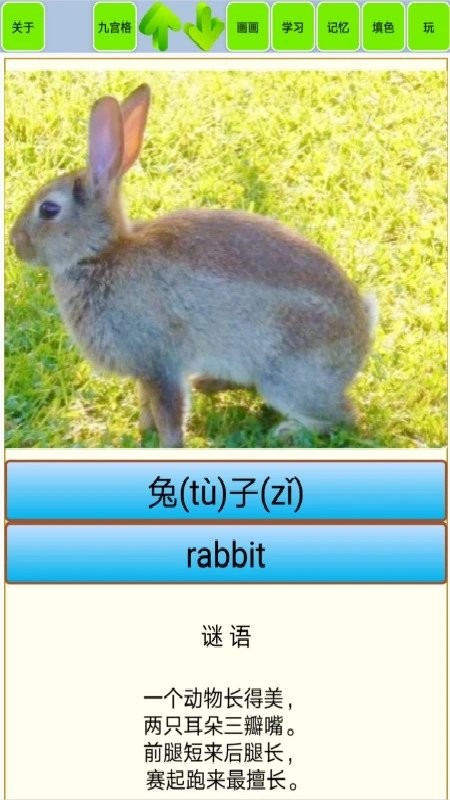 宝宝识动物汽车画画 宝宝识动物汽车画画