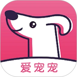 爱宠宠