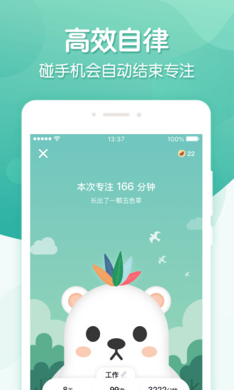 专注ingapp