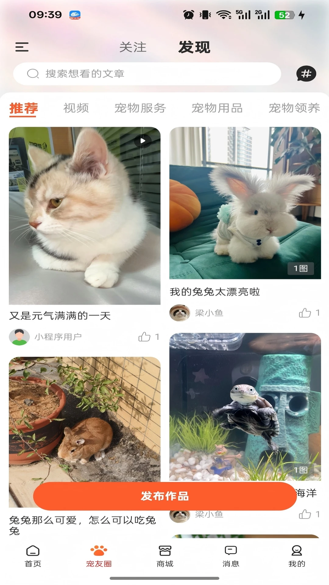 执宠乐
