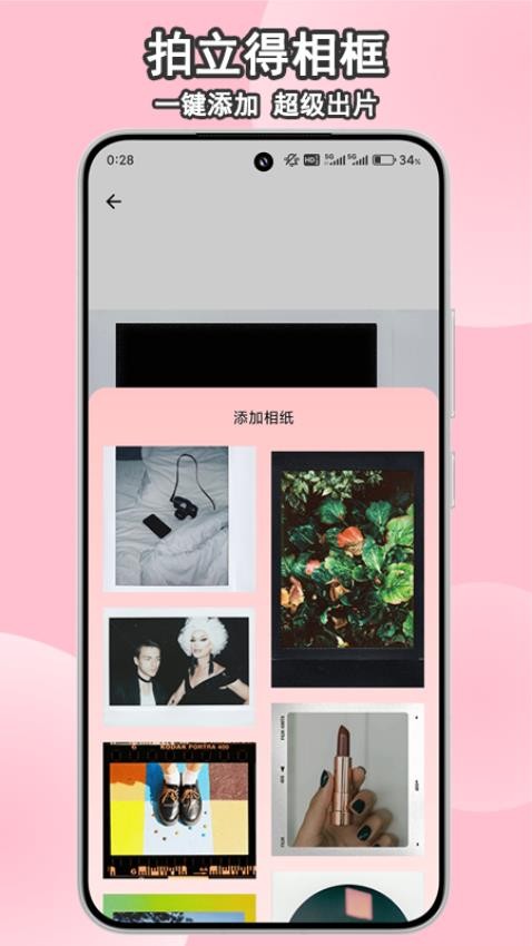小猫补光灯自拍
