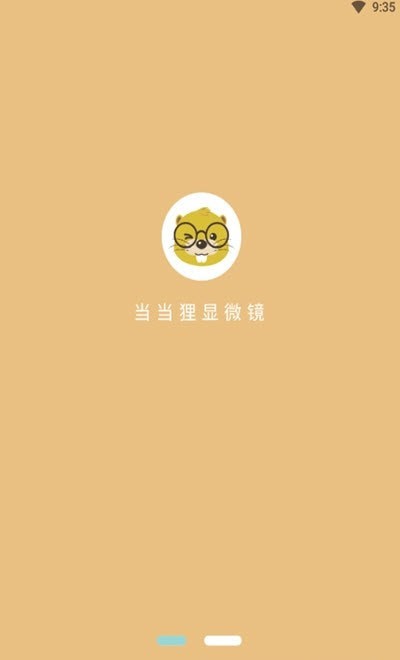当当狸