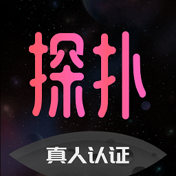 探仆