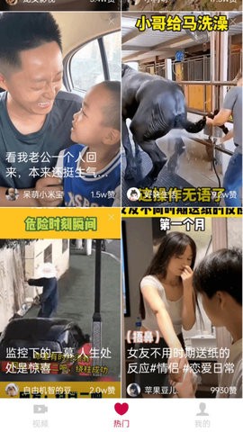 贝果