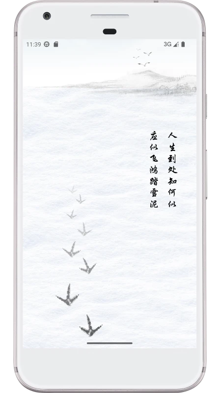 飞鸿踏雪