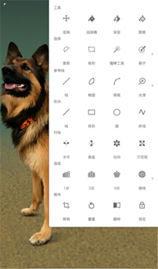 无限绘画专业版 安卓版v6.4.2