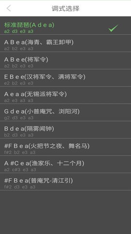 智能琵琶调音器 智能琵琶调音器