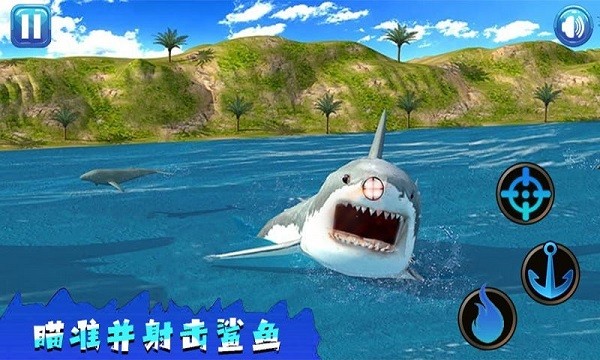 SharkFishing
