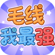 毛线我最强