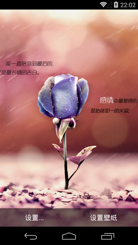 执子手等花开(唯美壁纸) 执子手等花开(唯美壁纸)