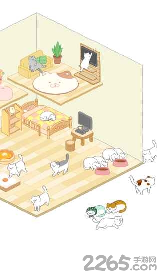 Purrfect安装器