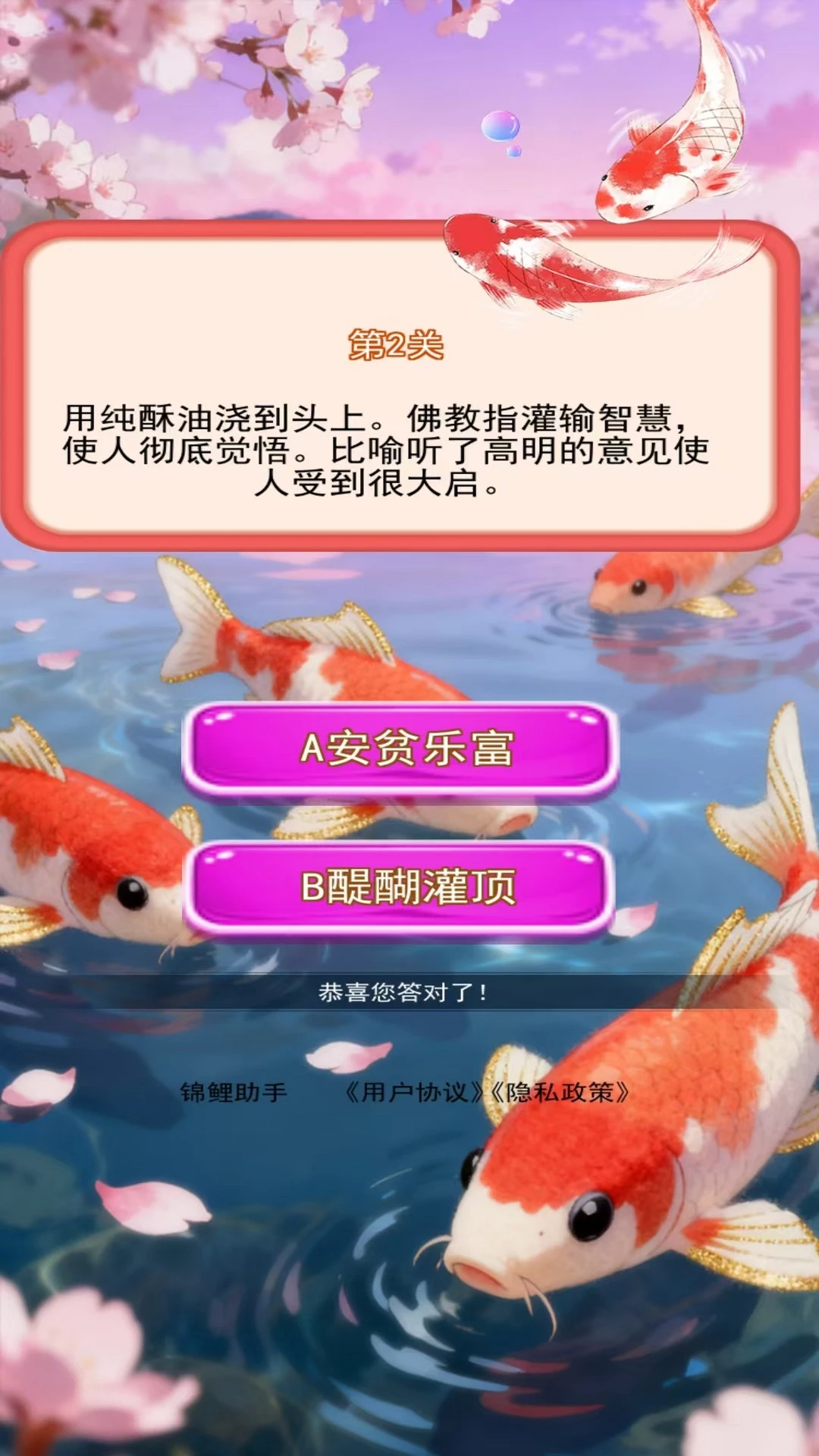 锦鲤助手