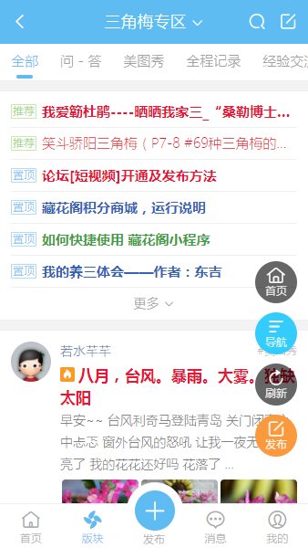 藏花阁园艺论坛