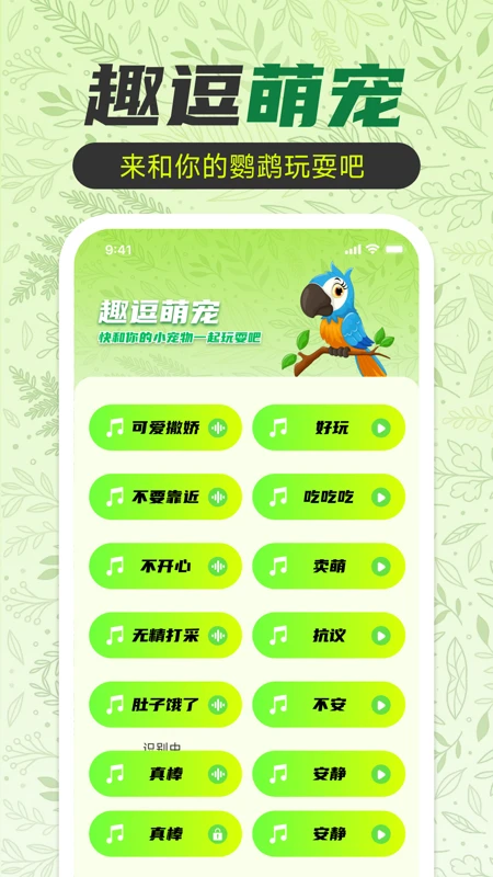 鹦鹉翻译助手