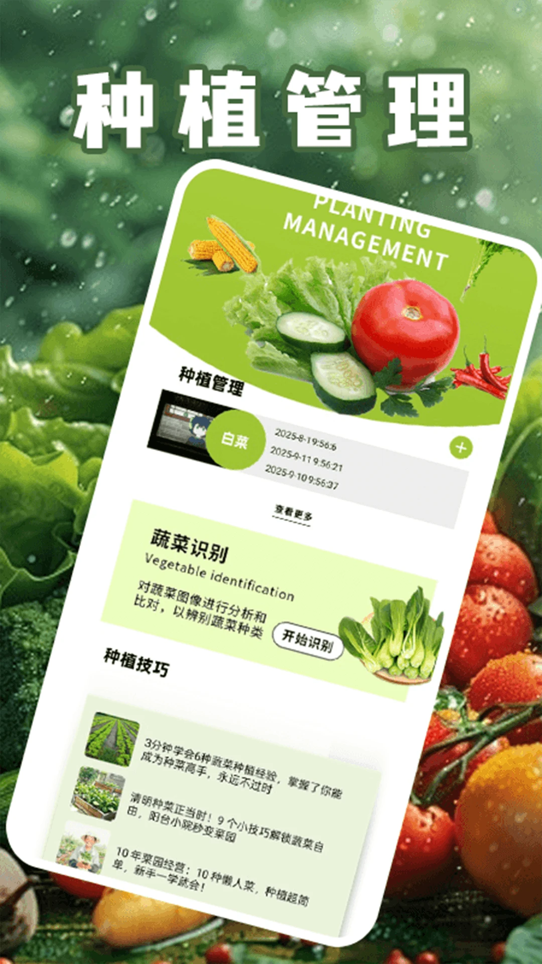 奶奶的小农院2025 奶奶的小农院2025