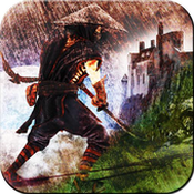 Samurai Warrior Assassin