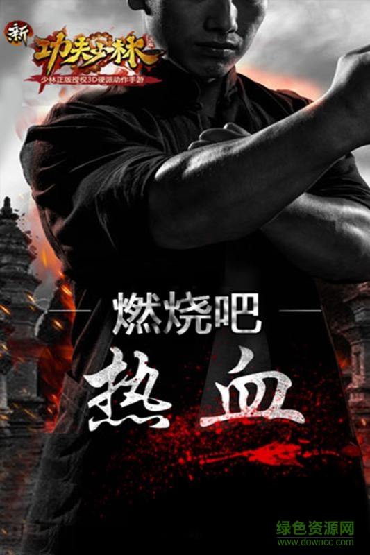 新功夫少林 新功夫少林