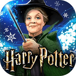 Hogwarts Mystery