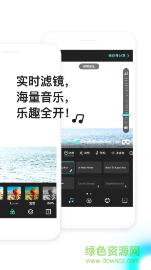 VeeR Editor