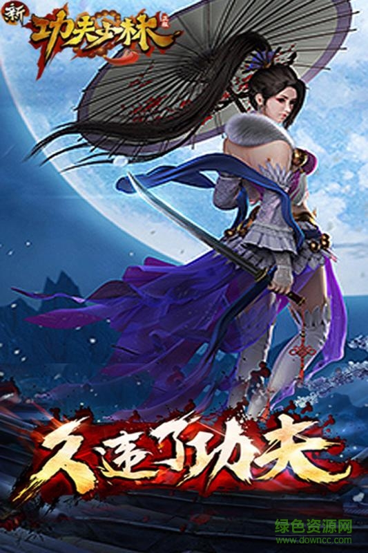 新功夫少林 新功夫少林