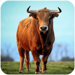 The Bull
