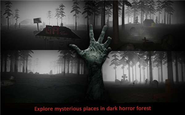 Misty Forest 2