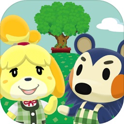 Pocket Camp