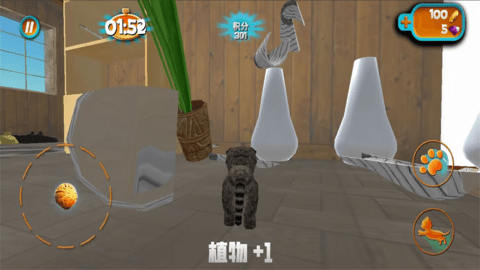 奶奶贴心小猫