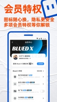 布鲁帝2020本