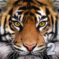 UltTiger2