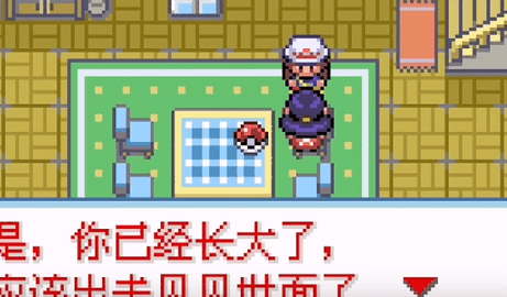 口袋妖怪命运之轮汉化版