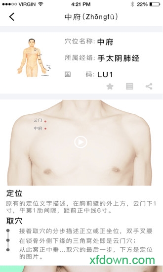 经络穴位图解手机版 经络穴位图解手机版