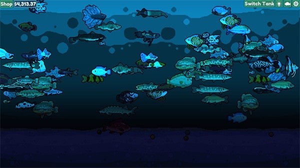轻松水族馆 安装器