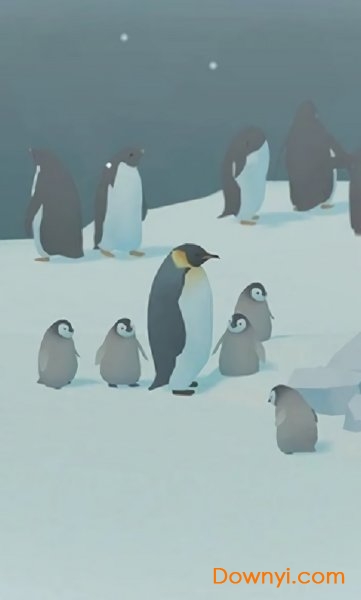 Penguin