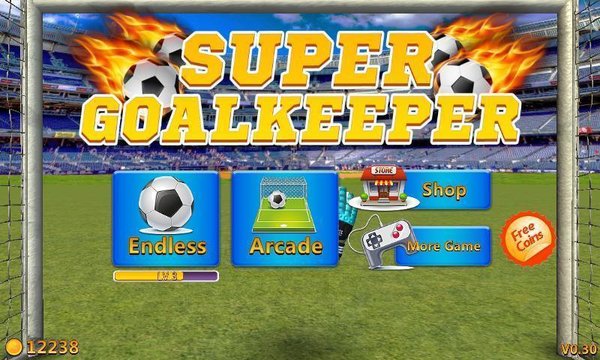 Super Goalkeeper - World Cup Super Goalkeeper - World Cup