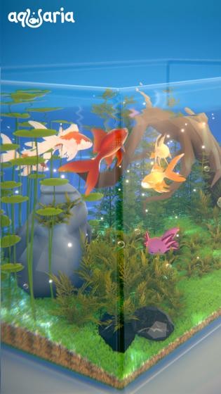 aqualia