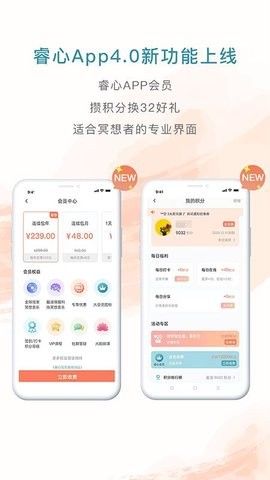 睿心冥想