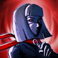 Ninja Shadow