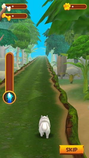 奔跑的小狗 奔跑的小狗