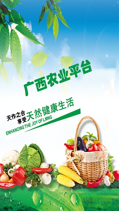 广西农业平台