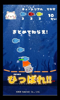 猫咪来袭 猫咪来袭