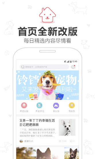 铃铛宠物 铃铛宠物