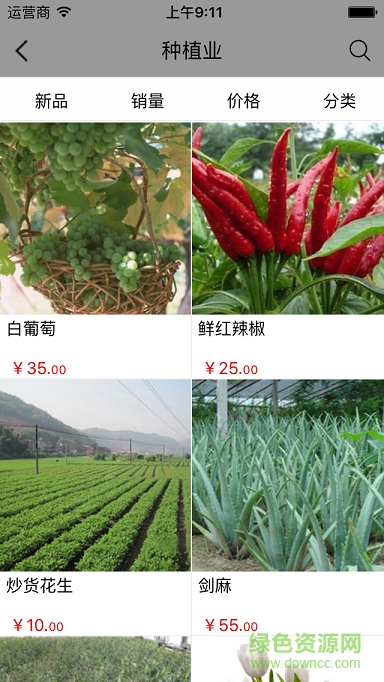 广西农业平台