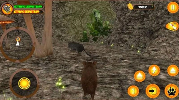 疯狂老鼠王 疯狂老鼠王