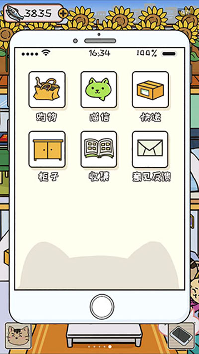 离家的猫 离家的猫