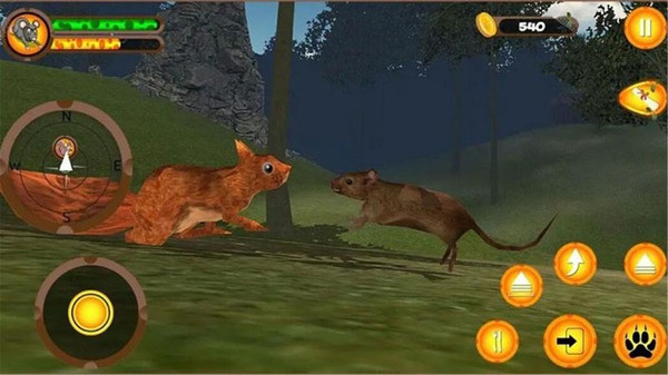 疯狂老鼠王 疯狂老鼠王